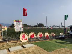 -光明小镇欢乐田园