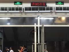 -同济大排档
