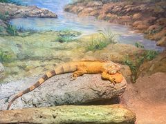 -福州罗源湾海洋世界旅游区