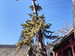 -潭柘寺景区