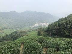 -西湖风景区十里琅珰-五云山