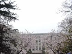 -武汉大学-樱园