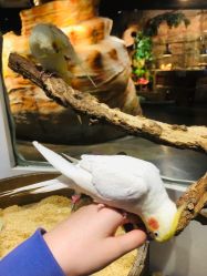 -Zoolung Zoolung动物主题公园(海信广场店)