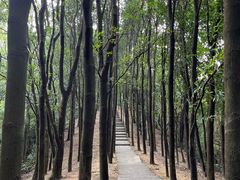 -广州市帽峰山景区