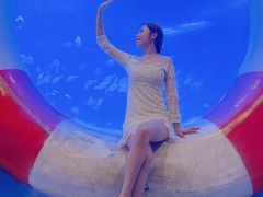 -烟台海昌鲸鲨海洋公园