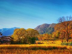 -塔川景区