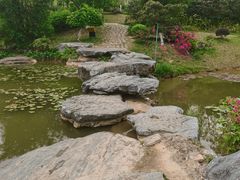 -东莞植物园