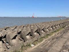 -上海滨江森林公园