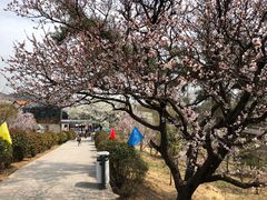 -崂山仰口游览区
