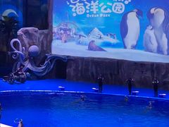 -华夏文旅西安度假区