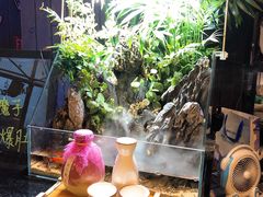 -798烧烤工厂(太和路店)