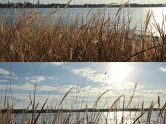 -露天矿生态公园