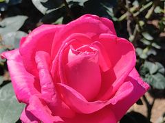 -人民公园(罗湖区)