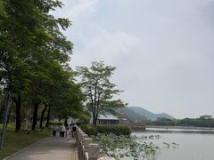 -顺峰山公园