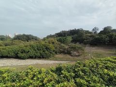 -HUBBA祜精酿(五羊邨店)
