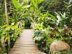 -中国科学院西双版纳热带植物园