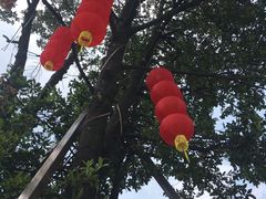 -大门水乡·顺德菜