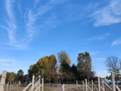 -圣露庄园·亲子活动乐园·露营·团建婚礼
