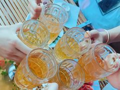 -珊瑚岛