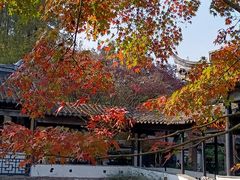 -惠山古镇·寄畅园