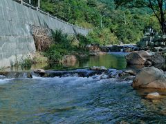 -北仑森林植物园