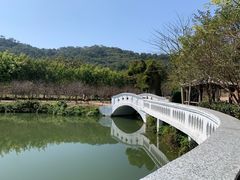 -丹樱生态园