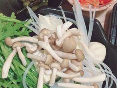 -伊豆野菜村(大族广场店)