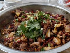 -食神又名厕所兔