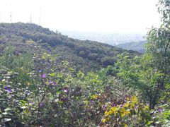-鬼笑石后山停车场