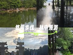 -东湖落雁景区