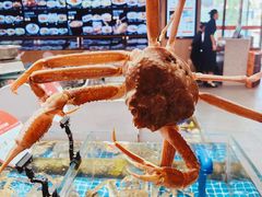 -连鹭海鲜·海肠捞饭·海胆饭(星海店)