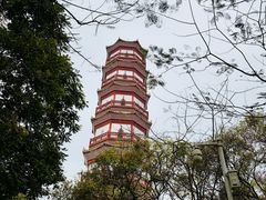 -分塔山省级森林公园