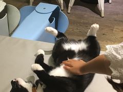 -小时光咖啡馆(开森度假森林店)