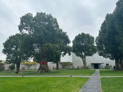 -养云安缦吧THE BAR