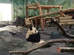 -秦皇岛野生动物园