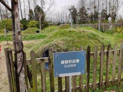 -前小桔亲子创意农场·草莓采摘·露营烧烤