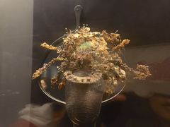 -贵州省博物馆(新馆)
