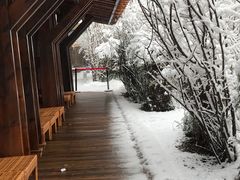 -长白山聚龙火山温泉