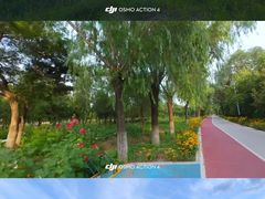 -绿堤公园