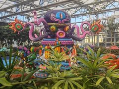 -南宫五洲植物乐园