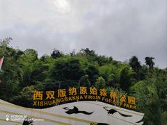 -西双版纳原始森林公园
