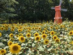 -洛阳市隋唐城遗址植物园