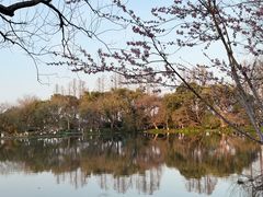 -西湖游船