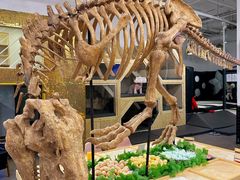 -FAIRYLAND龙族星球主题餐厅(凯丹广场店)