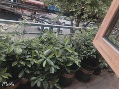 -霄汉牛三鲜湖北砂锅菜(万松园2店)