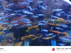-石家庄海洋公园
