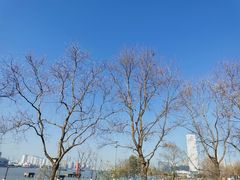 -上海山野camping·户外天幕烧烤·团建拓展营地