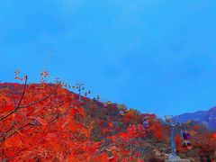 -周口店坡峰岭风景区