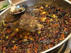 -黑竹香鸡(营和巷店)