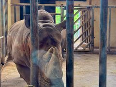 -石家庄市动物园